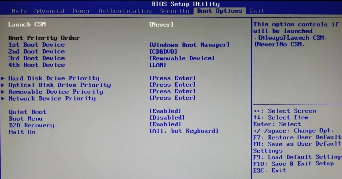 Acer BIOS Hatası